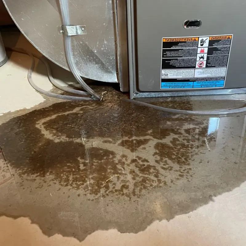 Pipe Burst and Leak Restoration in Franklin County, KY