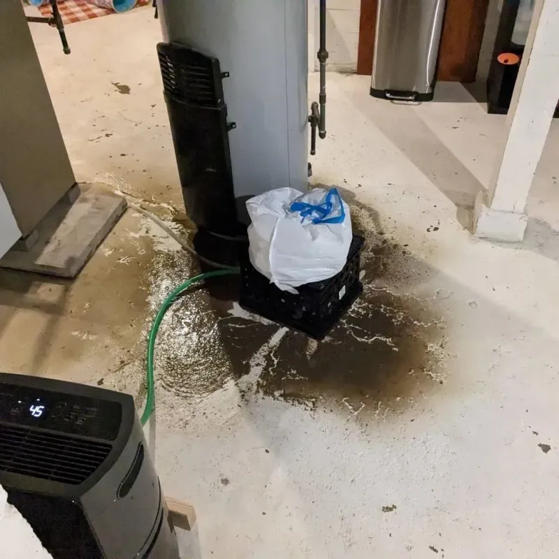 Sewage Backup Cleanup Service in Franklin County, KY